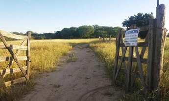 Imagem 5: Fazenda 40 hectares Bom Jesus da Lapa/Serra do Ramalho Bahia