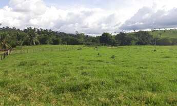 Imagem 5: Fazenda 30 Alqueires em Parauapebas