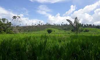 Imagem 6: Fazenda 30 Alqueires em Parauapebas