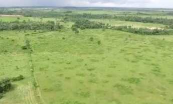 Imagem 5: 56 alqueires a 140 km de Belem por 4.500.000,00 toda no pasto