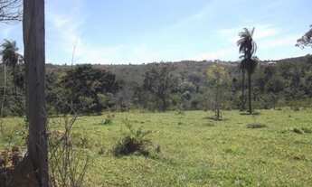 Imagem: Fazenda sem sede de 82ha,nascente e córrego