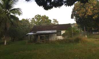 Imagem 7: Fazenda/Sítio/Chácara para venda possui 12000 metros quadrados com 1 quarto