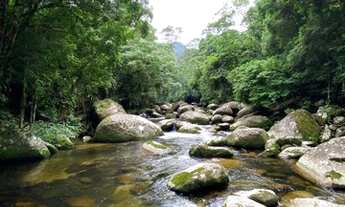 Imagem 7: Terreno à venda, 1092 m² por R$ 240.000,00 - Bonete - Ilhabela/SP