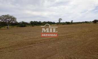 Imagem 7: Fazenda no Centro Sul do Tocantins. > 370 Alq. (1.790 Há) Já em Lavoura