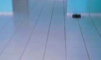 Imagem: ALUGA-SE CASA, BENEDITO BENTES 1