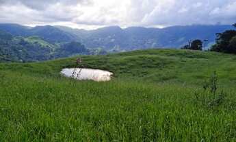 Imagem 5: Fazenda/Sítio/Chácara para venda possui 169400 metros quadrados com 5 quartos