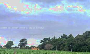 Imagem 3: Sítio de 02 alqueires em Tatuí - SP