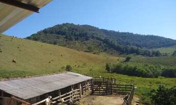 Imagem 4: Vendo todo ou em partes