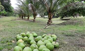 Imagem: Sítio Rio Preto da Eva Troco ou vendo
