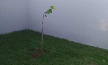 Imagem 7: Casa térrea Jardim Tijuca, 2 quartos