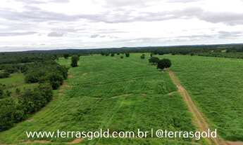 Imagem 2: Fazenda à venda, 250 hectares, Pecuária & Lavoura, 40km até Cuiabá-MT