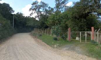 Imagem 2: Fazenda/Sítio/Chácara para venda em São José dos Pinhais PR