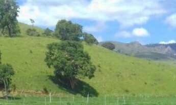 Imagem 6: Fazenda Pecuária Produtiva - Itapetinga - 20 Alqueires