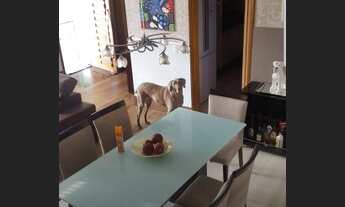 Imagem 6: Casa de 165m² com 03 dorms sendo 01 suíte no Bairro Aclimação/ Vila Monumento