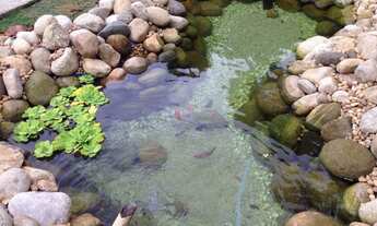 Imagem 6: Sítio Jacarepaguá anil freguesia