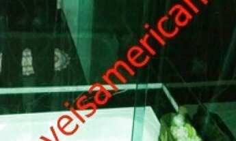 Imagem 4: Venda - Casa - Catharina Zanaga - Americana - SP