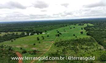 Imagem: Fazenda à venda, 250 hectares, Pecuária