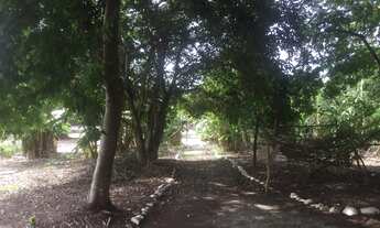 Imagem: VILA RICA-ITABORAÍ-Excelente sítio para