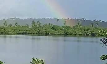 Imagem 5: Terreno Na Avenida principal 50.000 mil