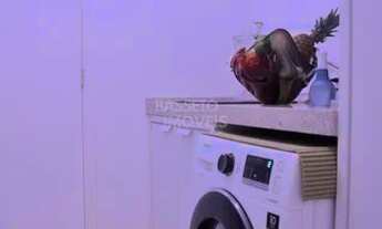 Imagem 7: FLORIANóPOLIS - Apartamento Padrão - Centro