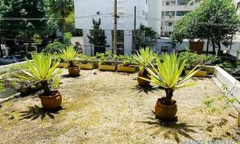 Imagem 7: APARTAMENTO - HIGIENÓPOLIS - SP