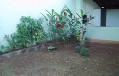 Imagem 2: CASA RESIDENCIAL em CAMPINAS - SP, JARDIM INDEPENDÊNCIA