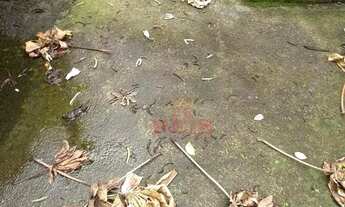 Imagem 6: Venda de Terreno em Vila Gumercindo