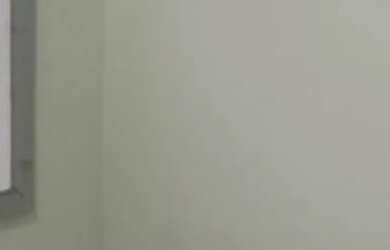 Imagem 5: Alugo Apartamento com 2 dormitórios