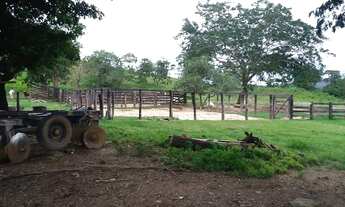 Imagem 7: . Uma Fazenda 400 Alqueires 80 km do município de Rosalândia Tocantins