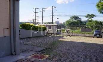 Imagem 6: Galpão - Macuco - Valinhos