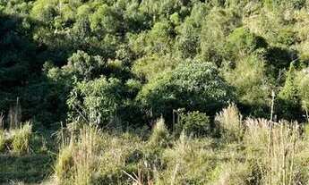 Imagem 3: Vendo chácaras Chácara com venda por R$80.000