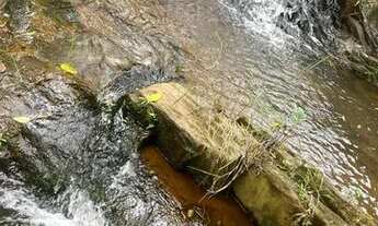 Imagem 7: VENDO TERRENO PARA CHÁCARA DE VERÃO