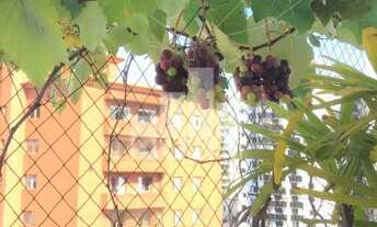 Imagem 2: Itaim Bibi - Cobertura Duplex - 412 m² úteis - com piscina e espaço gourmet