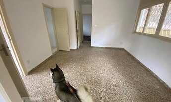 Imagem 2: Casa para Aluguel - Tijuca, 3 Quartos, 400 m2