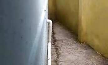 Imagem 3: Kitnet para alugar