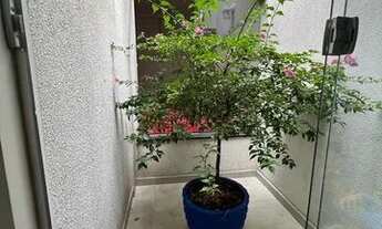 Imagem 3: Bela casa á venda no bairro do Coqueiro - Ananindeua Pa