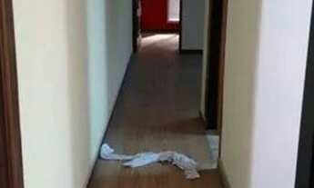 Imagem 7: CASA ASSOBRADADA - TATUAPÉ - SP