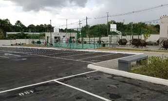 Imagem 4: Aluguel Apartamento com 2 dormitórios