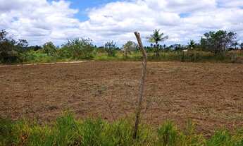 Imagem 7: Vendo terreno em itaporanga d'ajuda povoado sapé