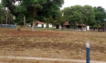 Imagem 5: Fazenda em Tocantins