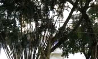 Imagem 4: CASA TÉRREA - CENTRO - SC