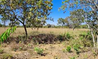Imagem 3: Fazenda de 519 hectares, toda no arame liso e plana com Rio Perene - Alto Paraíso de Goiás