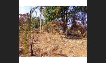 Imagem 3: Chácara em Rufinópolis