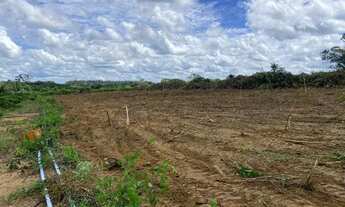 Imagem 2: Vende-se chácara de 2 alqueires