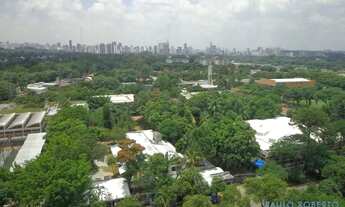 Imagem 5: APARTAMENTO - ALTO DE PINHEIROS - SP