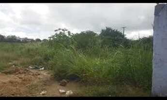 Imagem 2: Lote/Terreno para venda com 325 metros quadrados em Santana - Gravatá - PE