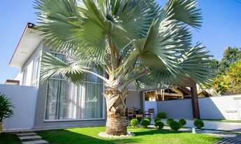 Imagem 3: Casa Terrea e Moderna