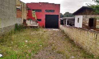 Imagem 5: Terreno para Venda - 0m², 0 dormitórios, Tristeza