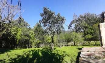 Imagem 4: Terreno em Restinga