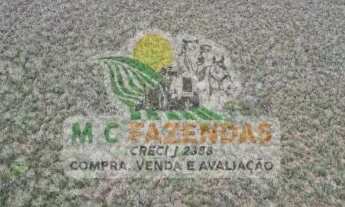 Imagem 5: Fazenda à Venda em Ribeira do Amparo - BA